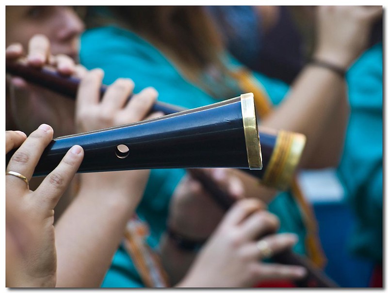 El so de la festa catalana